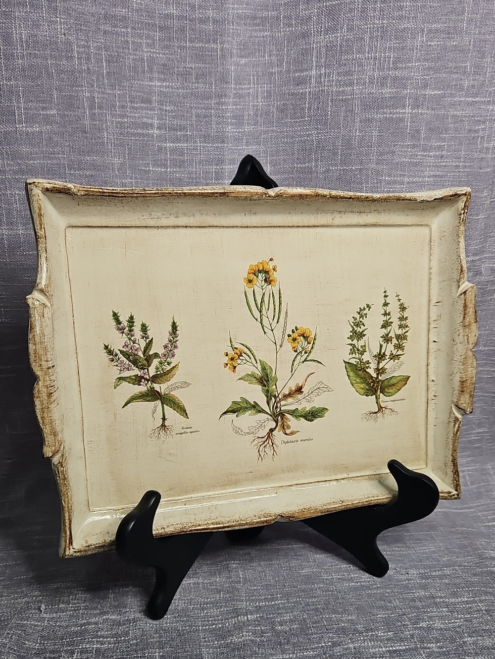 Vintage Italian Florentine Wooden Tray – Botanical Illustration Decoupage Shabby